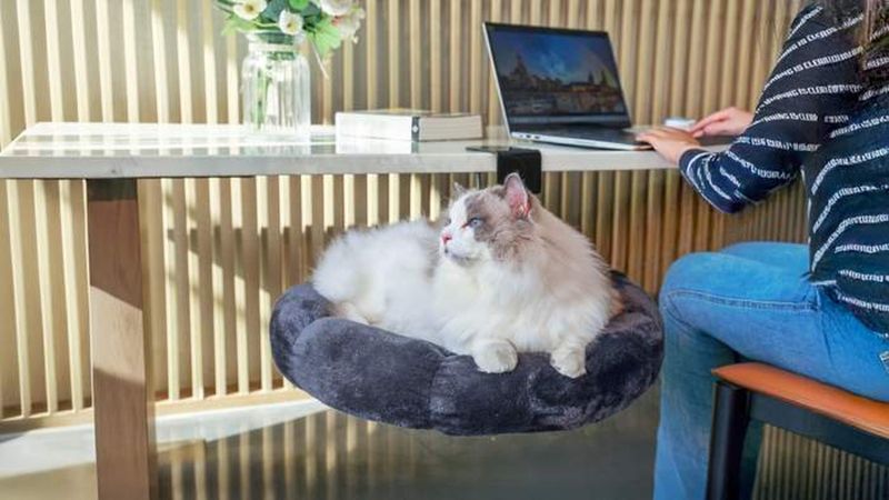 Comfortable Environment