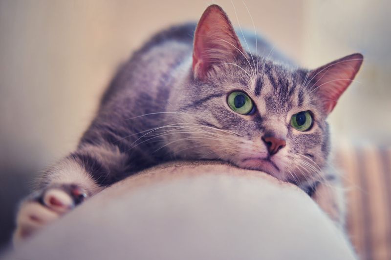 Reluctance to Move