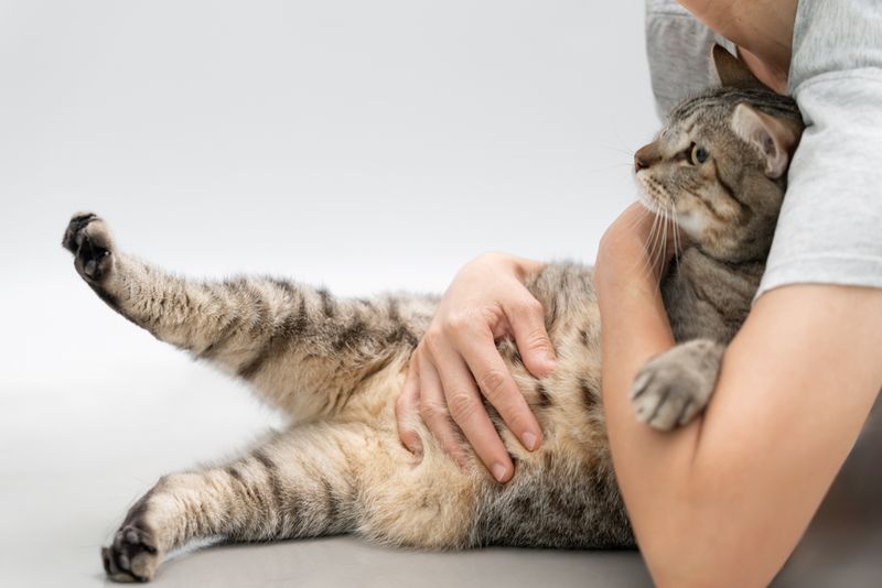 Perform Cat Heimlich Maneuver (If Needed)
