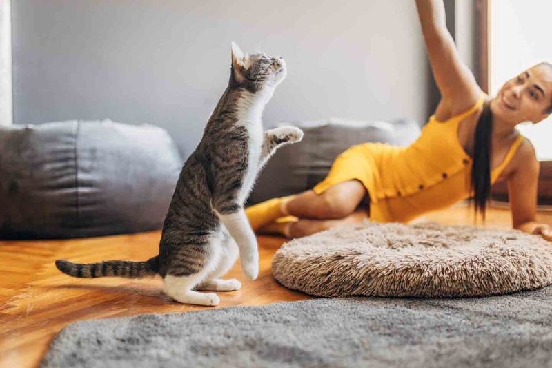 Routine Exercise