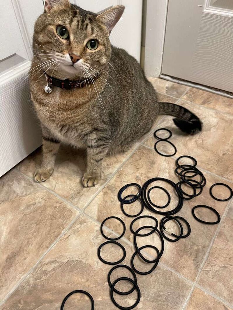 Rubber Bands and Hair Ties
