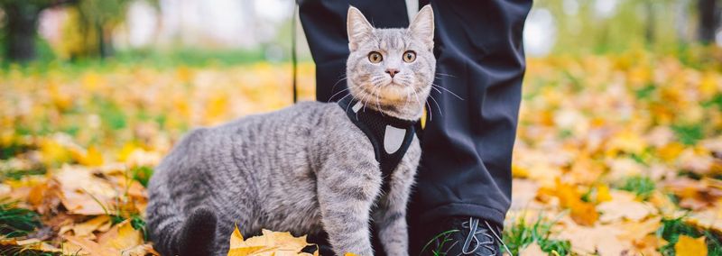 Safe Outdoor Exploration