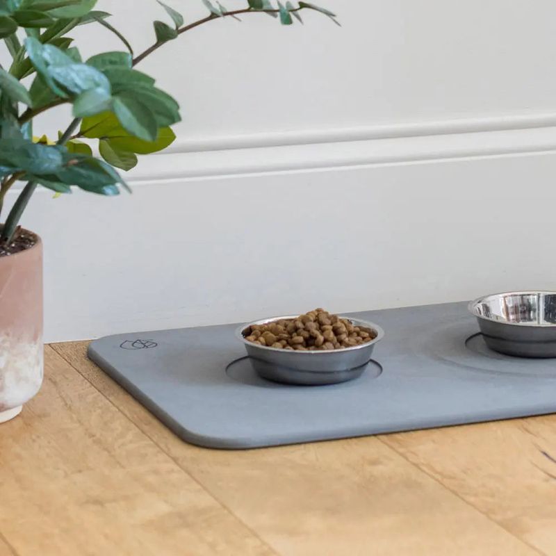 Reduces Risk of Mold or Fungus