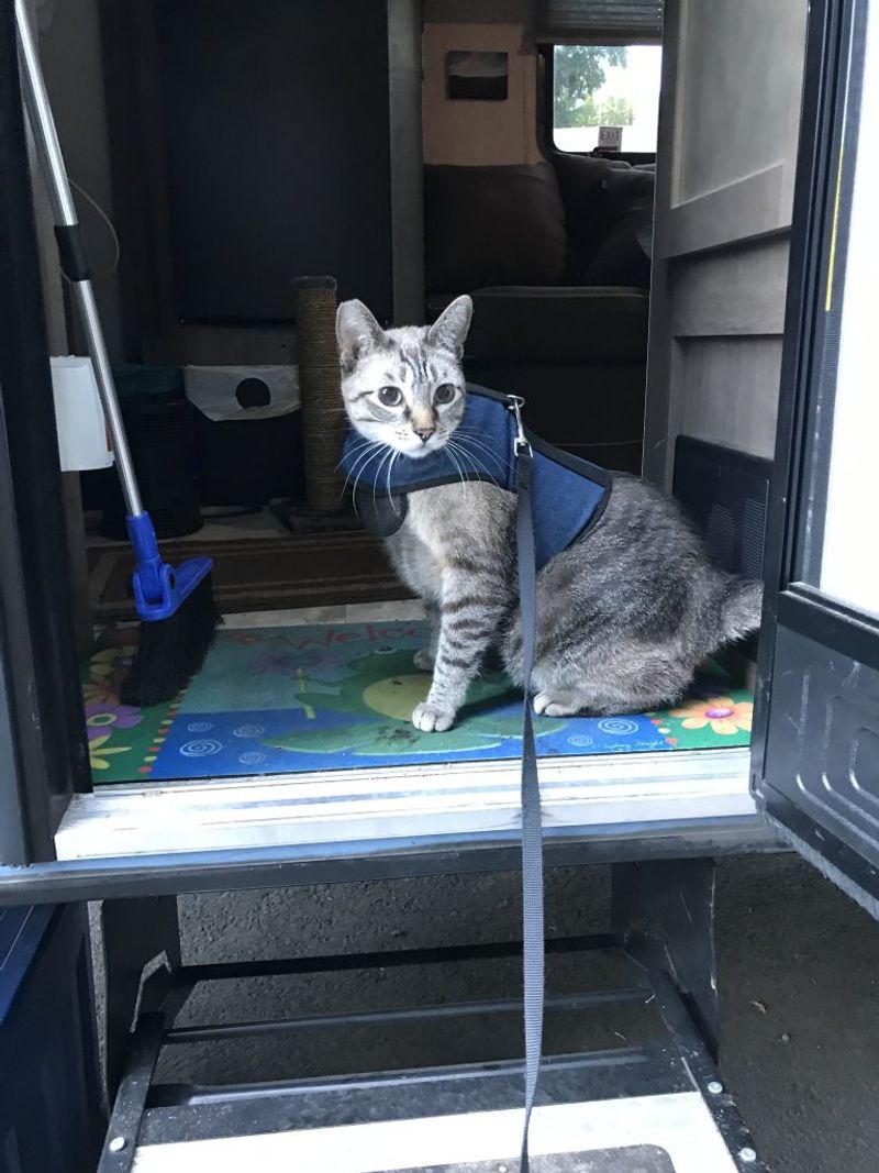 Safety First