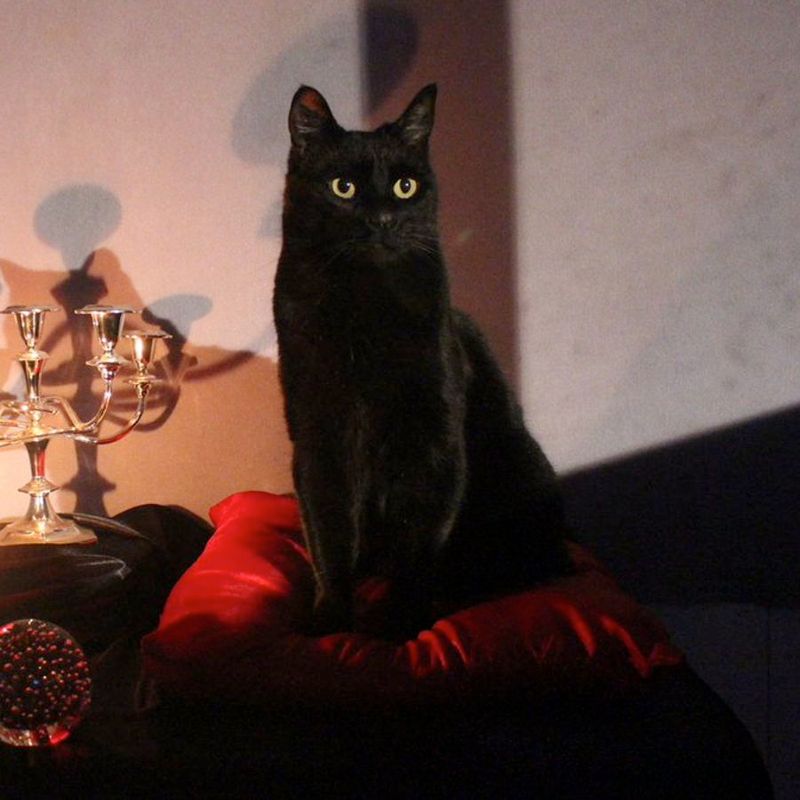 Salem Saberhagen