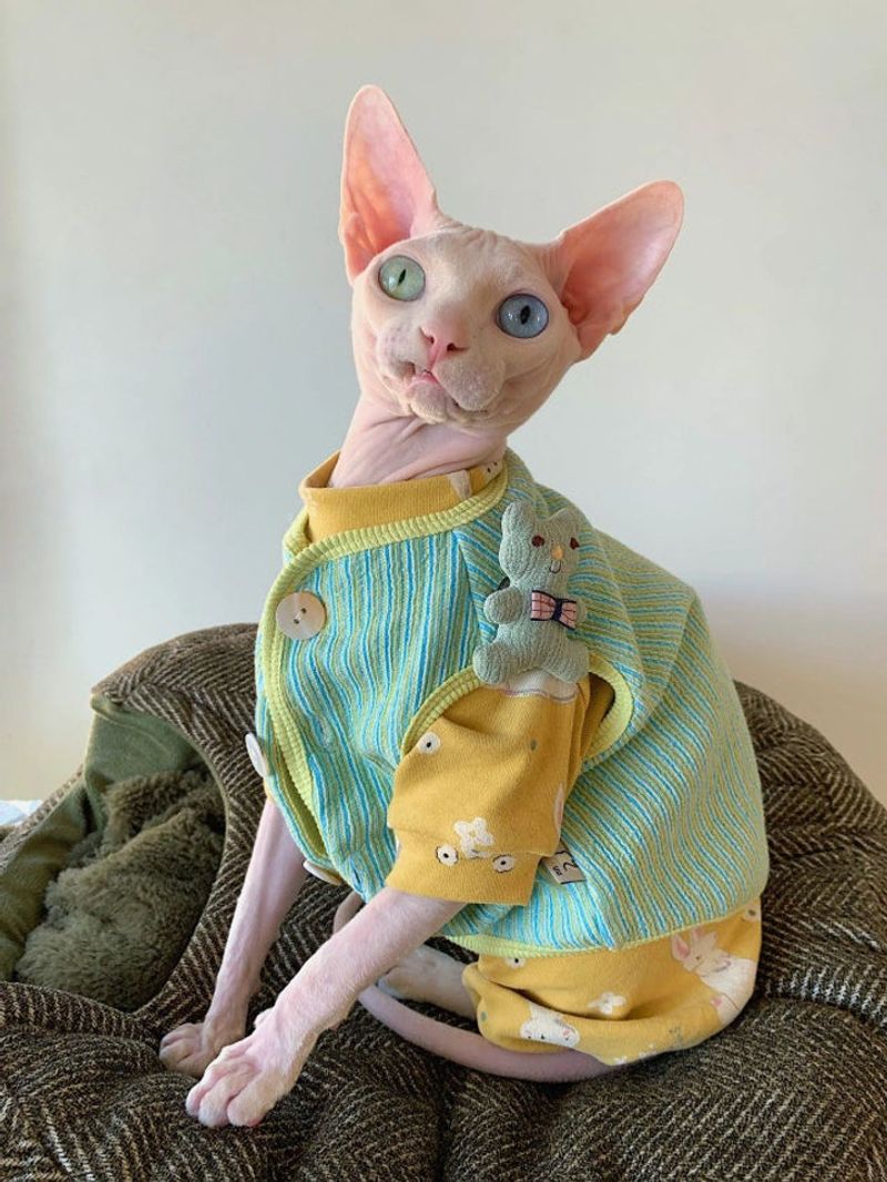 Sphynx