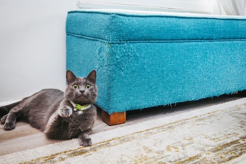 Scratching Furniture