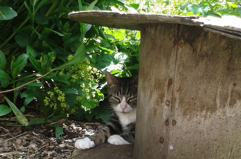 Seeking Hidden Spots