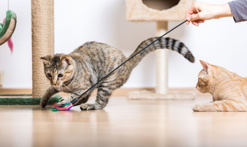 Self-Sufficient Playtime