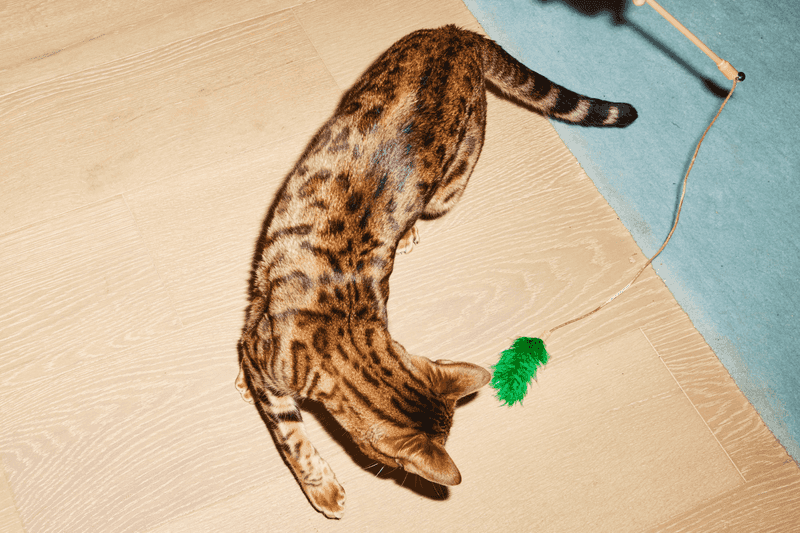 Sensory Texture Zones