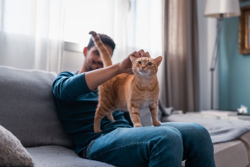Let Guests Know It’s a Pet-Inclusive Party