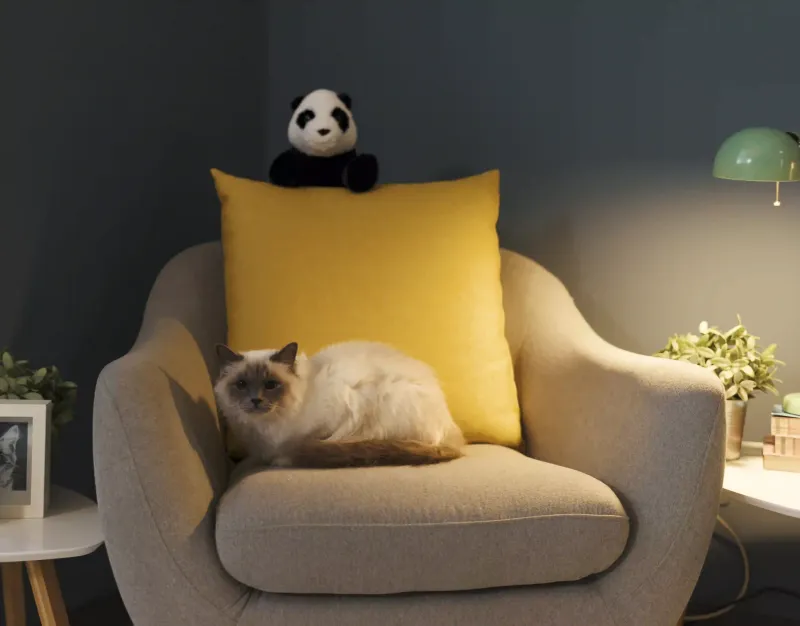Birman