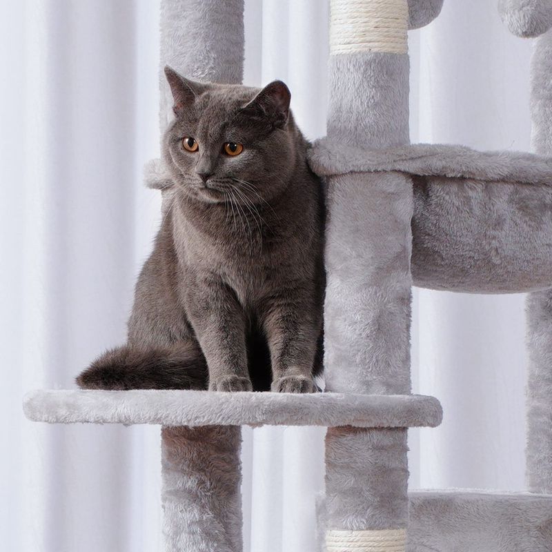 Obsession With High Perches