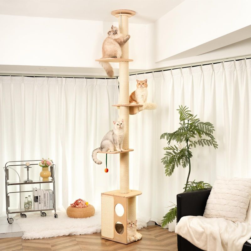 Climbing Addicts? Go Vertical