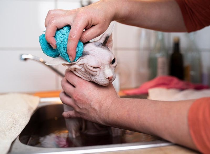 Frequent Ear Cleaning