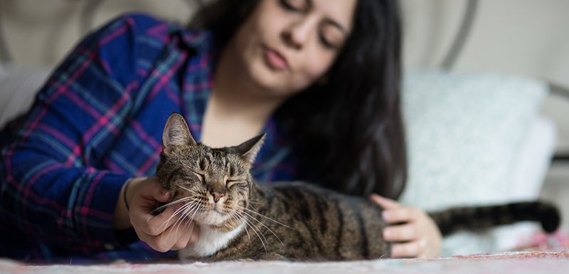 Save a Life and Make Space in Shelters