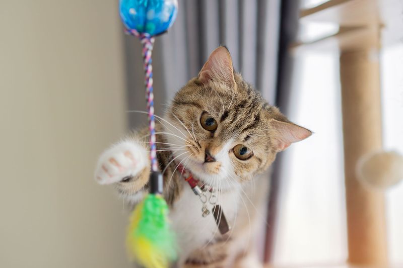 Master the Art of DIY Toys and Entertainment