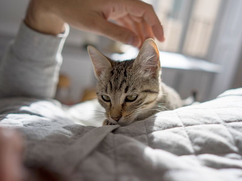 Sleeping On You