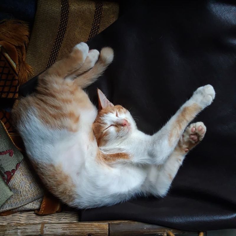 Sleeping in Odd Positions