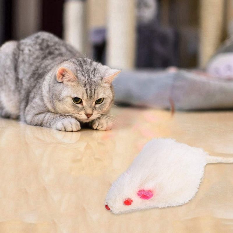 Small Toys and Decorations