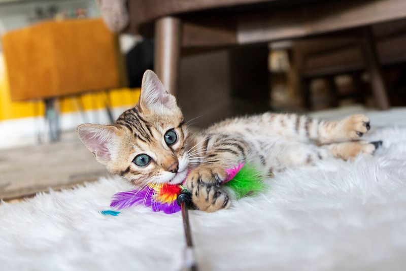 Small Toys