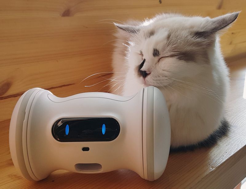 VARRAM Pet Fitness Robot