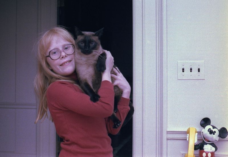 Misty Malarky Ying Yang – Jimmy Carter