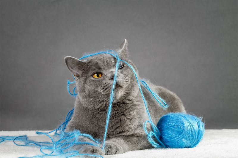 String, Yarn, and Hair Ties