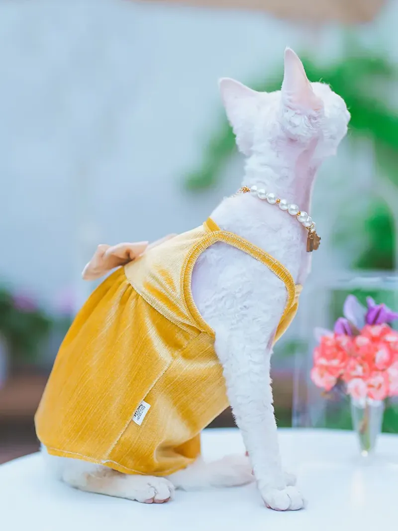 Sphynx