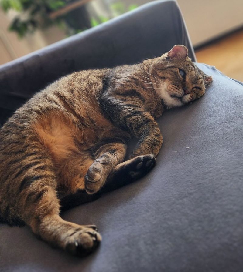 Stage 10: Contented Relaxation