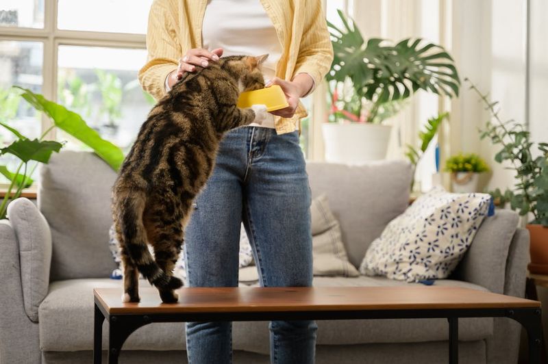 Step 2: Create a Comfortable Environment