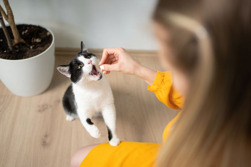 Step 4: Use Positive Reinforcement