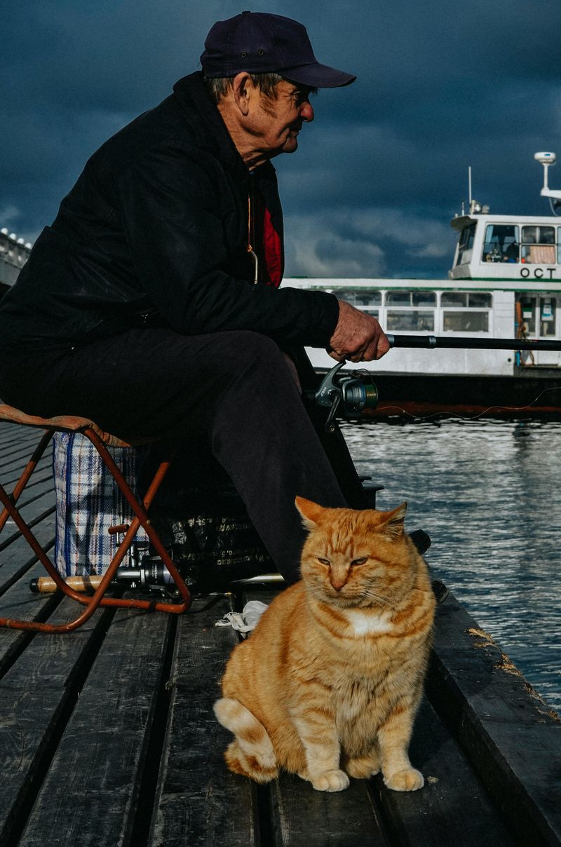 Companionship