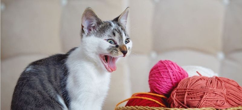 String and Yarn