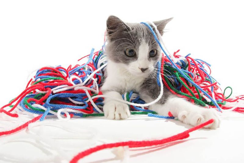 String and Yarn
