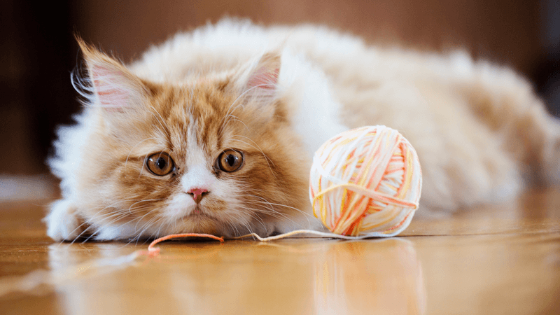 String and Yarn