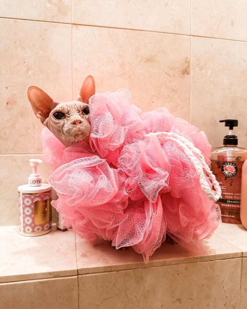 Clinging to the Loofah