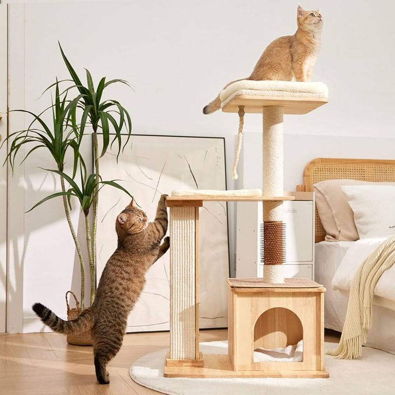 Cat-Friendly Alternatives Nearby