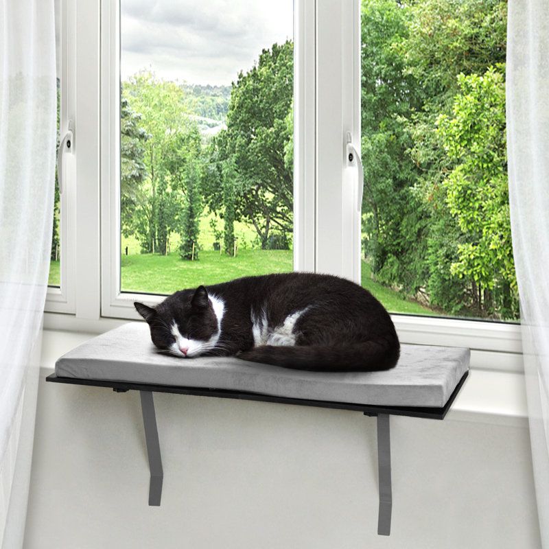 Sunny Perches