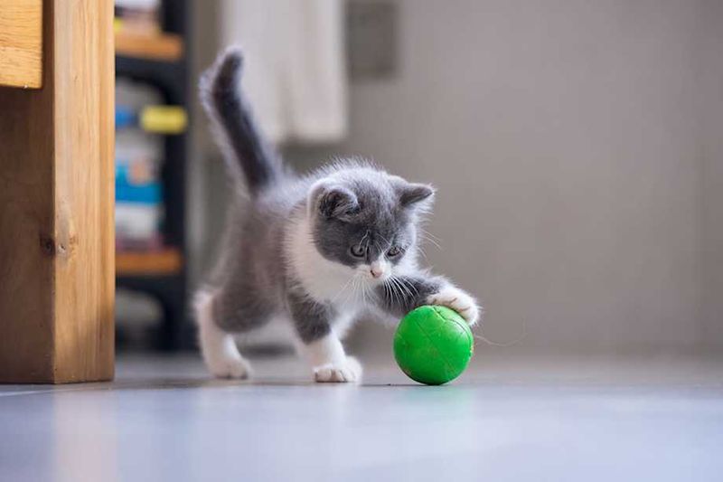 Encourage Positive Play