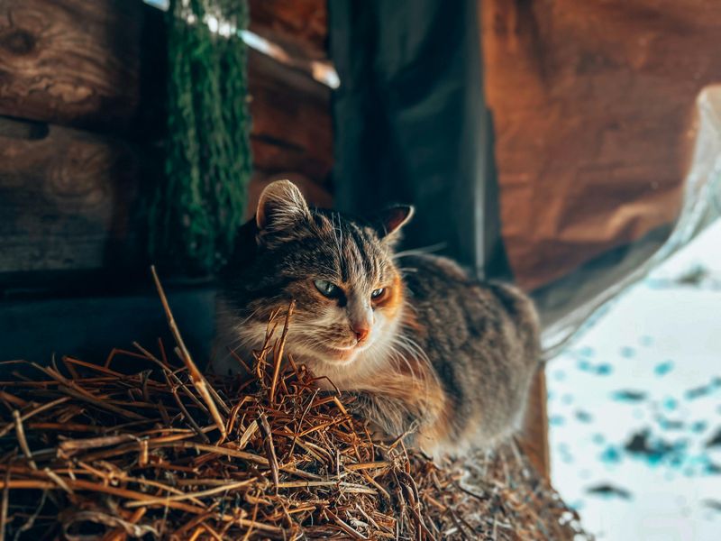 Offer Safe, Warm Shelter