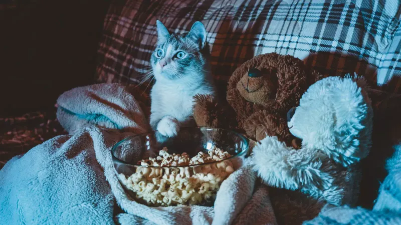 Surprising Movie Critic