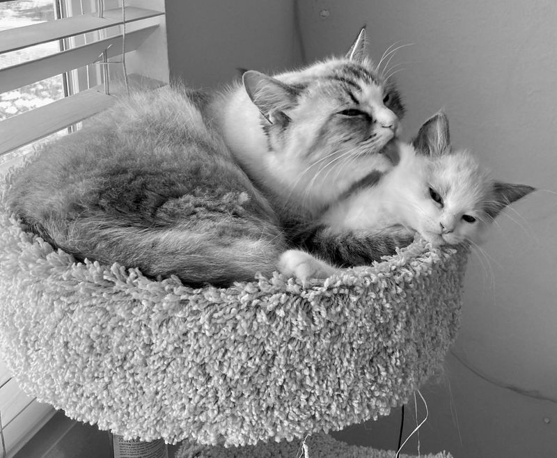 Swap Sleeping Items
