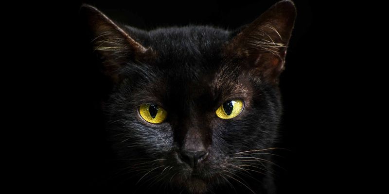 Linked to Witchcraft and Magic