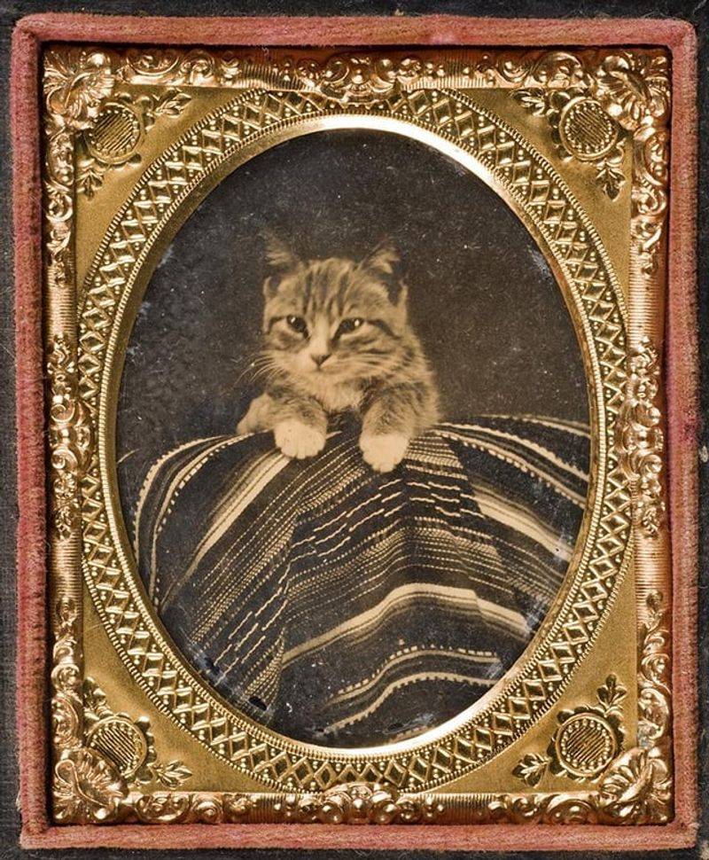Dixie – Abraham Lincoln