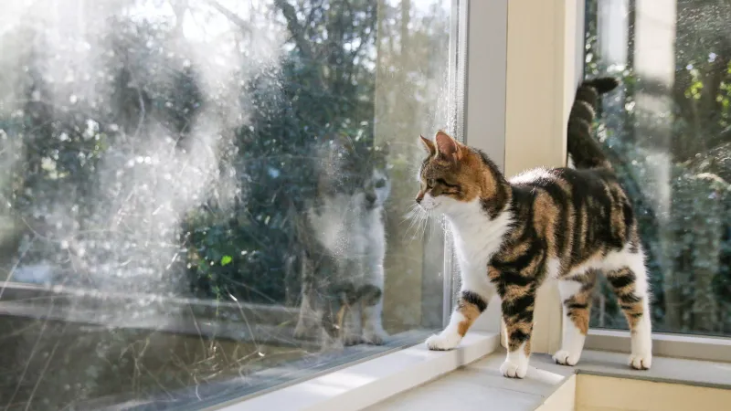 Take It Slow — Let Them Explore