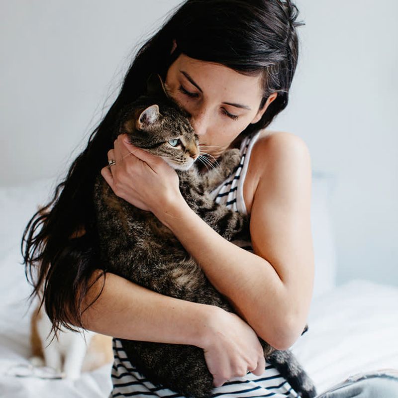 Talk to Your Cat