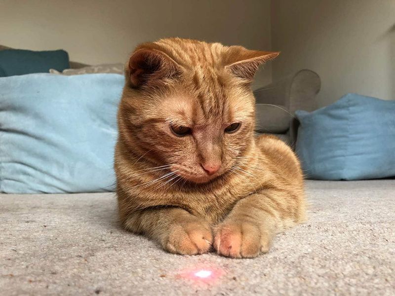 Use Light as a Cue