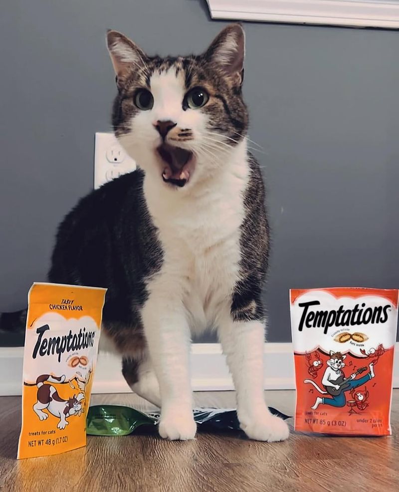 Tempt with Tasty Treats