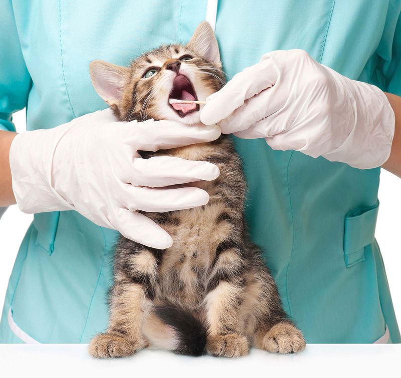 Dental Care Starts Early
